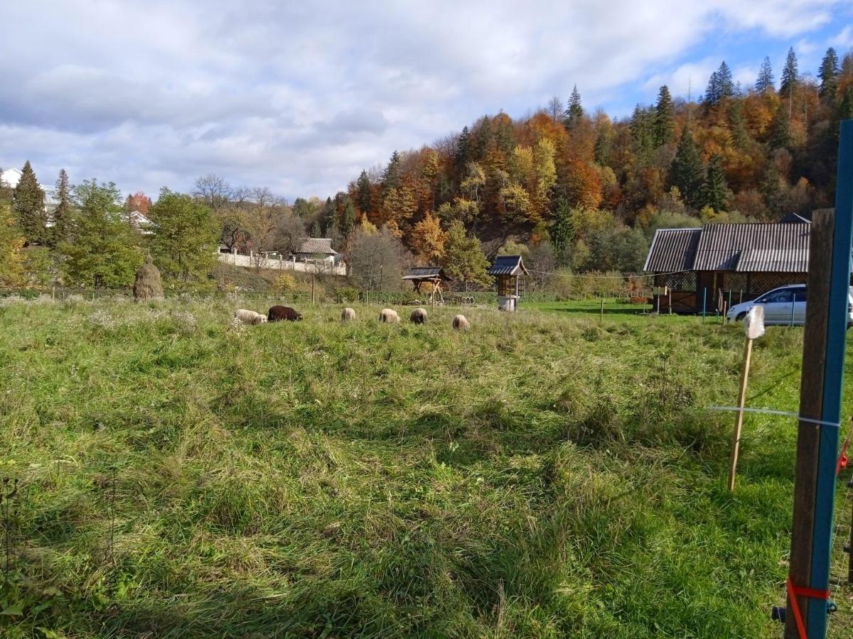 Садиба Федорчуків Гірська Хатина 1 Şeşorî Exterior foto